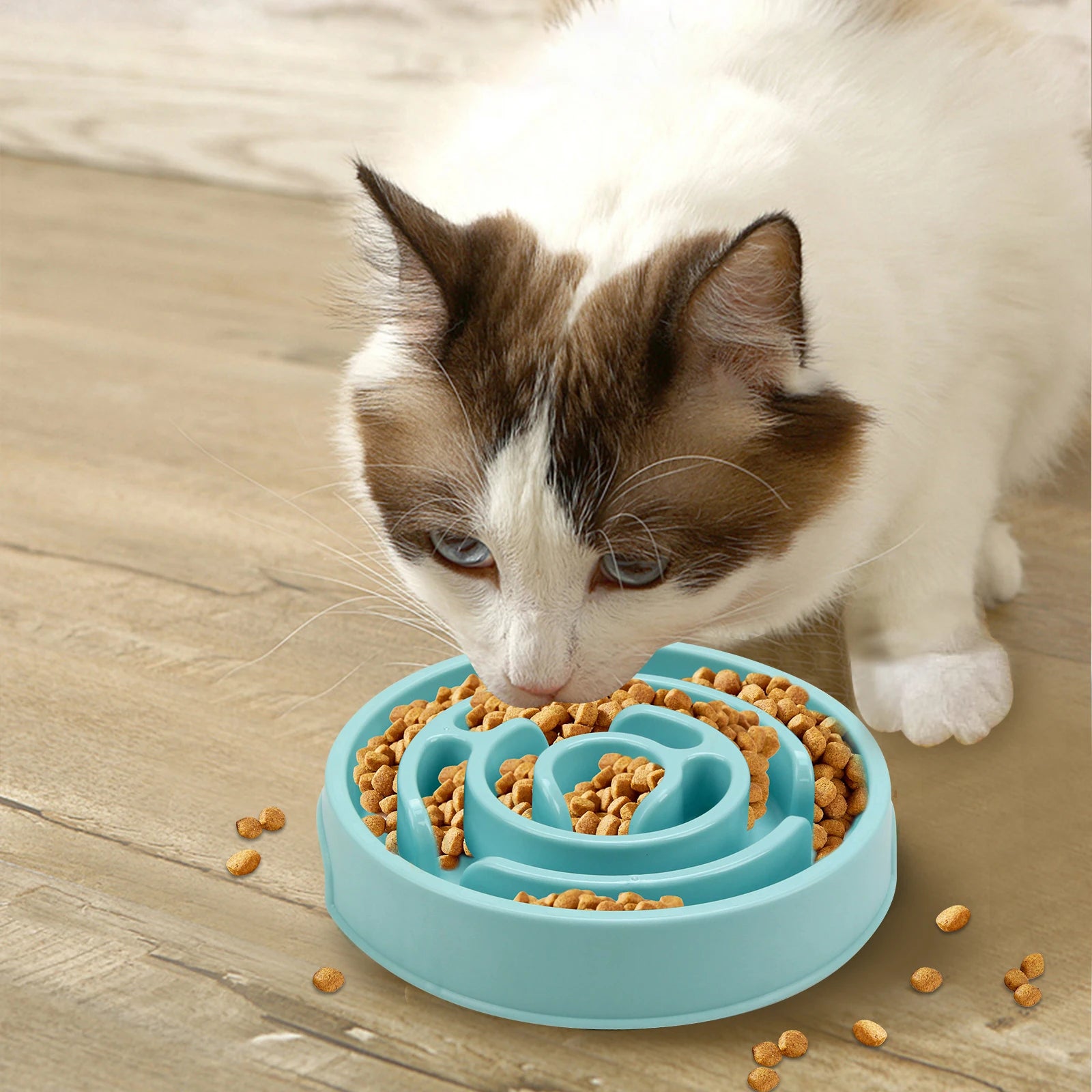Slow Feeder Dog Bowl — Anti-Bloat Puzzle Bowl for Dogs & Cats