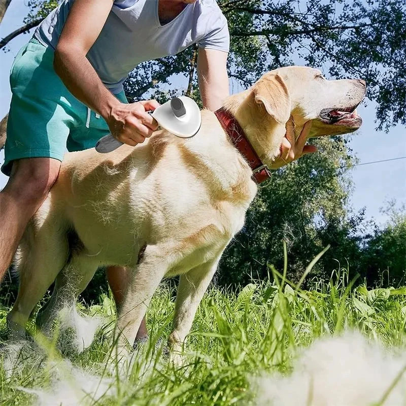 Self-Cleaning Slicker Brush — Gentle Pet Grooming for Dogs & Cats