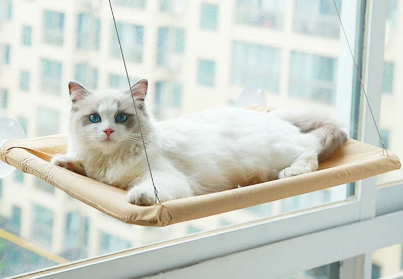 Cat Window Hammock — Suction Cup Perch Bed for Indoor Cats
