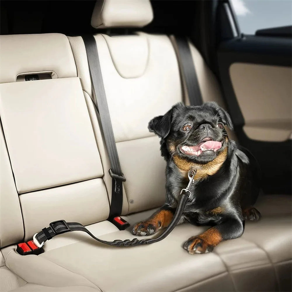 Adjustable Dog Seat Belt — Car Safety Harness for Dogs of All Sizes