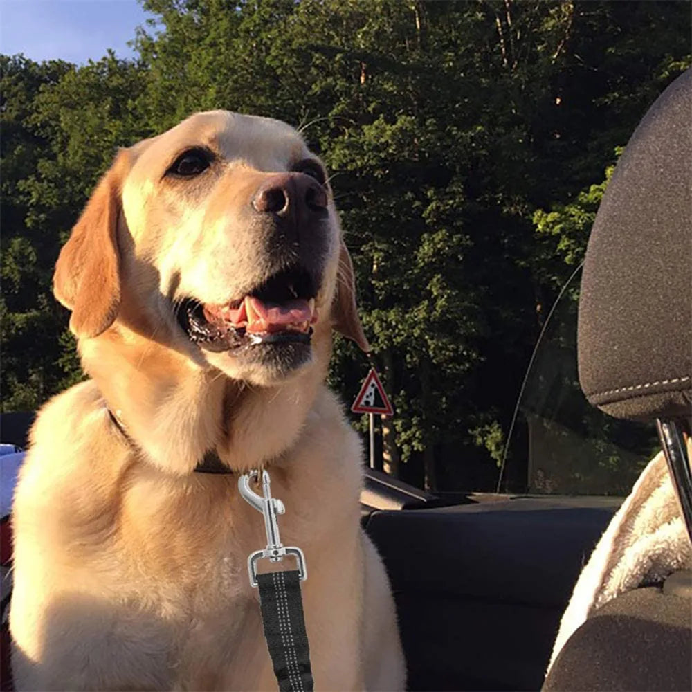 Adjustable Dog Seat Belt — Car Safety Harness for Dogs of All Sizes