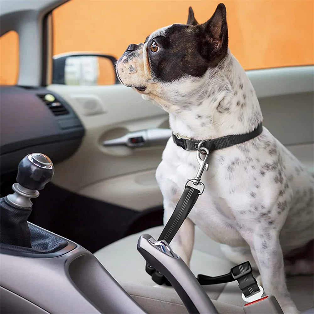 Adjustable Dog Seat Belt — Car Safety Harness for Dogs of All Sizes